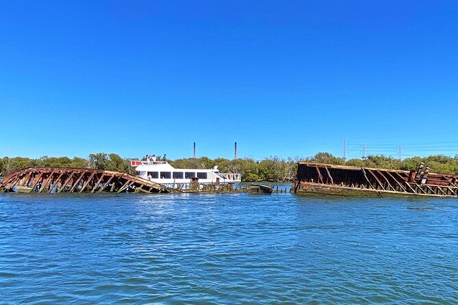 90 Minute Port River Dolphin & Ships Graveyard Cruise - Key points at a glance