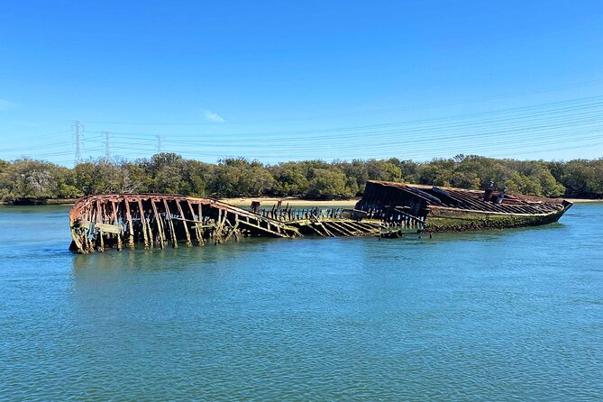 90 Minute Port River Dolphin & Ships Graveyard Cruise - Birdlife along the northern waterway