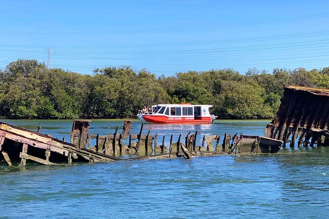 90 Minute Port River Dolphin & Ships Graveyard Cruise - The Ships’ Graveyard: rust, silt, and working-waterfront stories