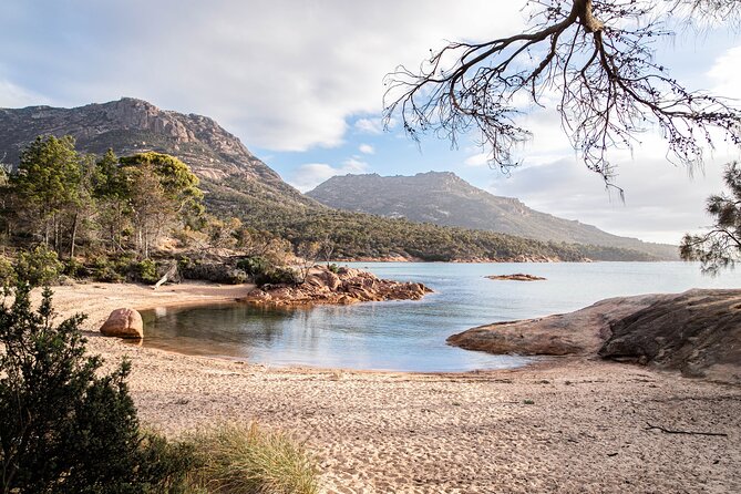 A Day At Wineglass Bay - Why this Wineglass Bay day trip works