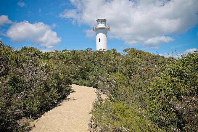 A Day At Wineglass Bay - Four hours to choose your own Freycinet trail