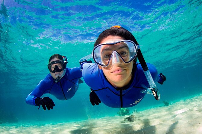 ABC Reef Safaris - Guided Snorkeling at Two Reef Sites