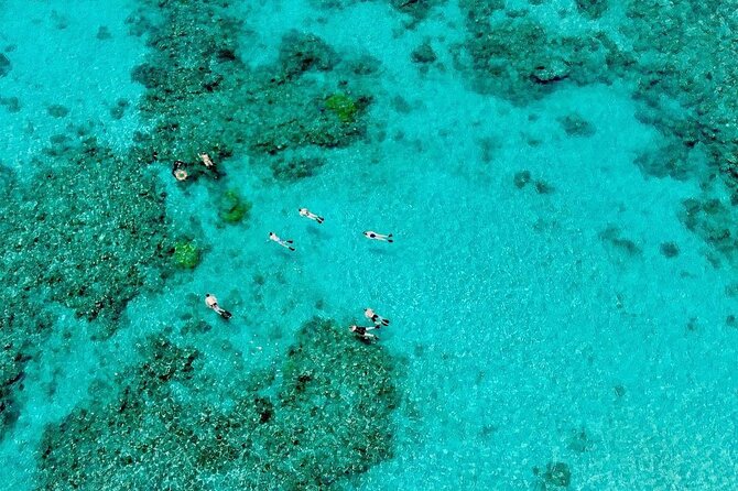 ABC Reef Safaris - A First Taste of Scuba Is Available