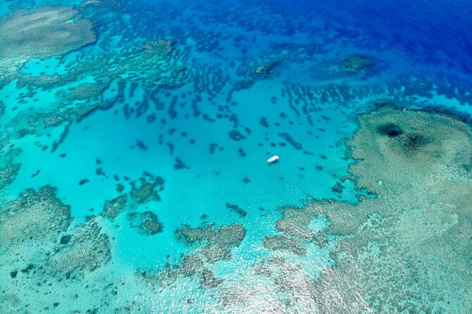ABC Reef Safaris - The Guides Make the Reef Easier to Read