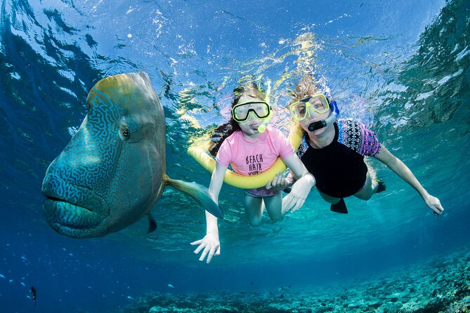 ABC Reef Safaris - Leaving Crystalbrook Marina at 8:00 am