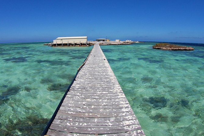 Abrolhos Islands 5 Day Cruise - Why the Abrolhos Islands make a five-day trip worthwhile
