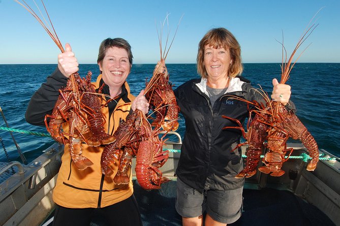 Abrolhos Islands 5 Day Cruise - Days 2 to 4: A rotating menu of island activities