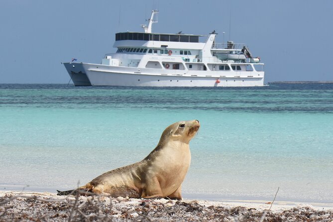 Abrolhos Islands 5 Day Cruise - Meals, cabins, and life aboard the ship