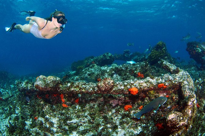 Abrolhos Islands 5 Day Cruise - Who will enjoy this cruise most