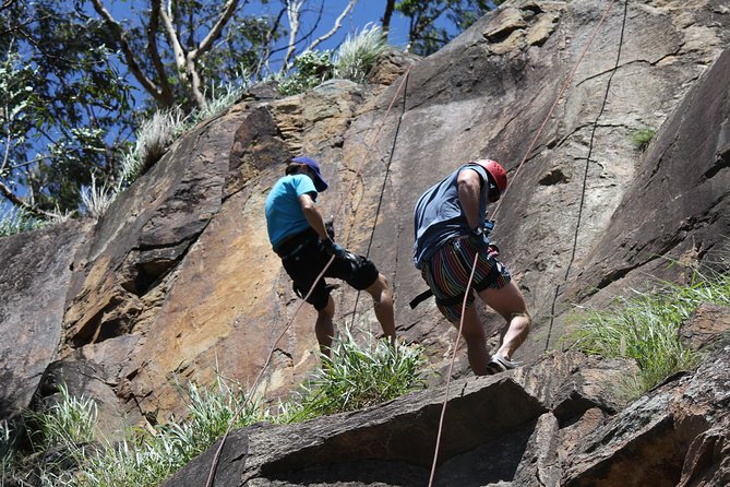 Abseiling the Kangaroo Point Cliffs in Brisbane - Safety, Staffing, and What to Check