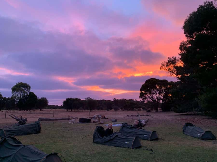 Adelaide: 3-Day Kangaroo Island Adventure Tour with Camping - Food, camp life, and the role of the guide