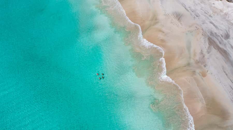 Adelaide: 3-Day Kangaroo Island Adventure Tour with Camping - Who should book this island trip?