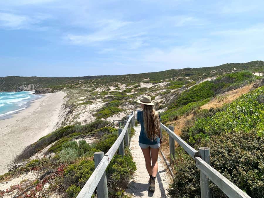 Adelaide: 3-Day Kangaroo Island Adventure Tour with Camping - The early ferry run from Adelaide