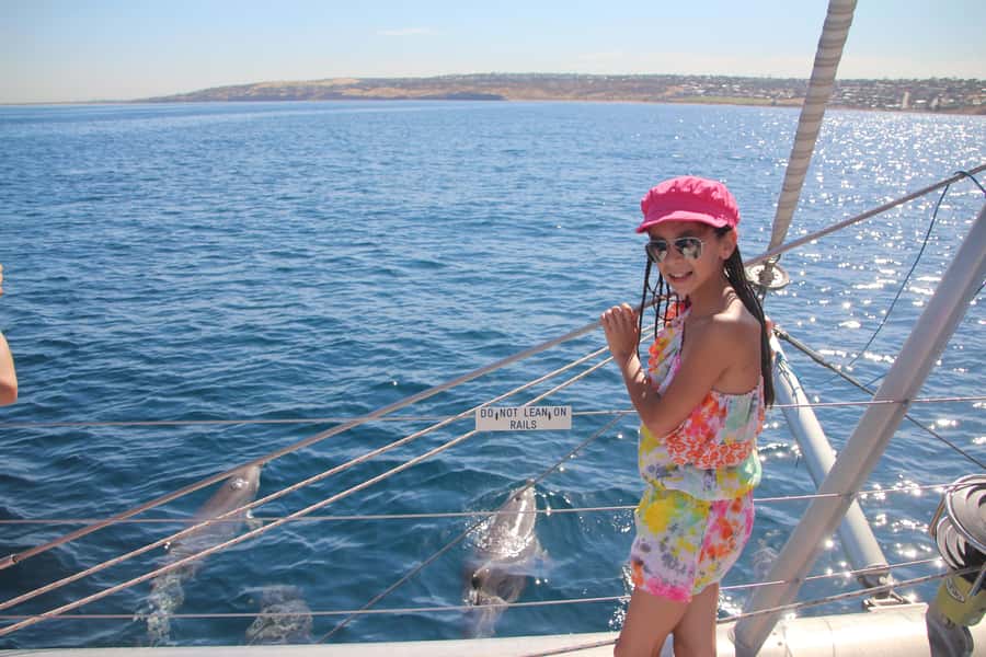 Adelaide: 4-Hour Guaranteed Wild Dolphin Watching Cruise - Is $63 a fair price?