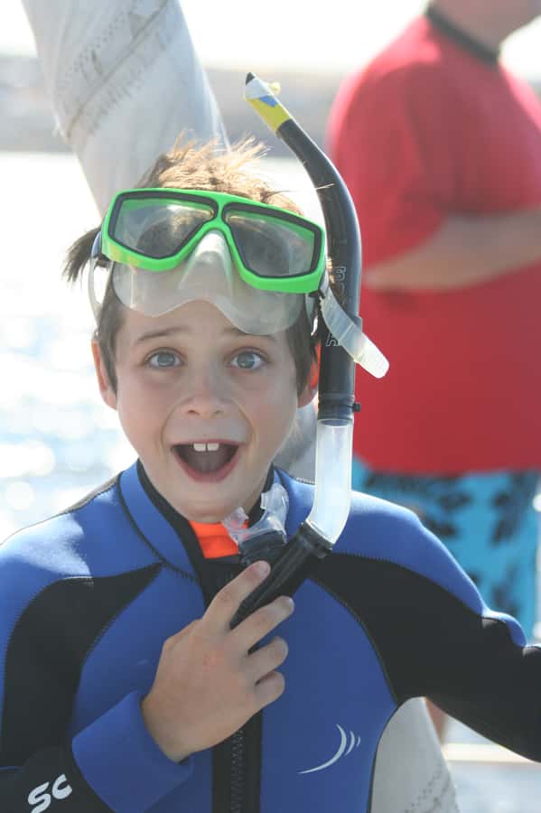 Adelaide: 4-Hour Swimming with Dolphins Experience - After the boat returns to Glenelg