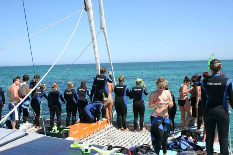 Adelaide: 4-Hour Swimming with Dolphins Experience - How the rotations affect your day