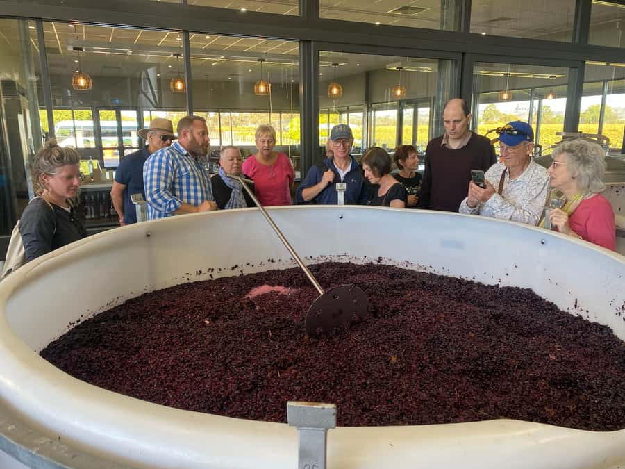 Adelaide: Barossa Premium Wine Tasting tour & Winery Lunch - Turkey Flat pairs wine with a generous regional platter