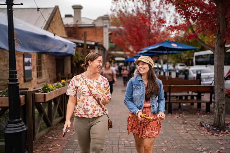 Adelaide: City, Adelaide Hills Villages, and Hahndorf Tour - The coach, guide, and pace of the day