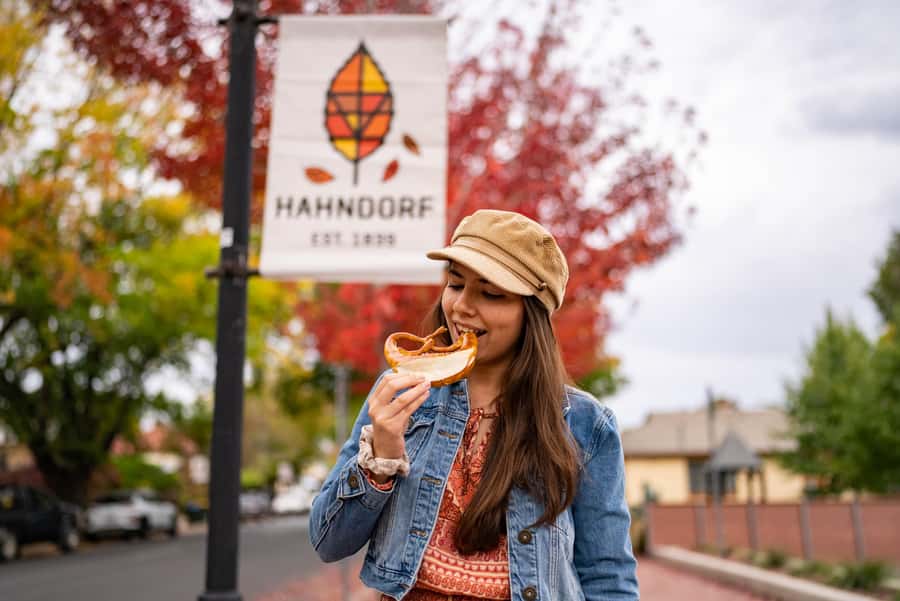 Adelaide: City, Adelaide Hills Villages, and Hahndorf Tour - Seventy-five minutes for lunch in Adelaide