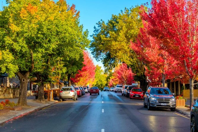 Adelaide City Highlights- Mt. Lofty & Hahndorf Half-Day Tour - Who will enjoy this half-day tour