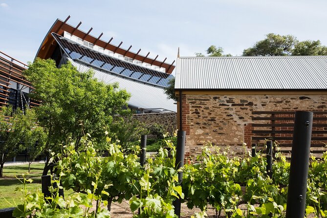 Adelaide City Highlights Tour - Who will get the most from this city tour