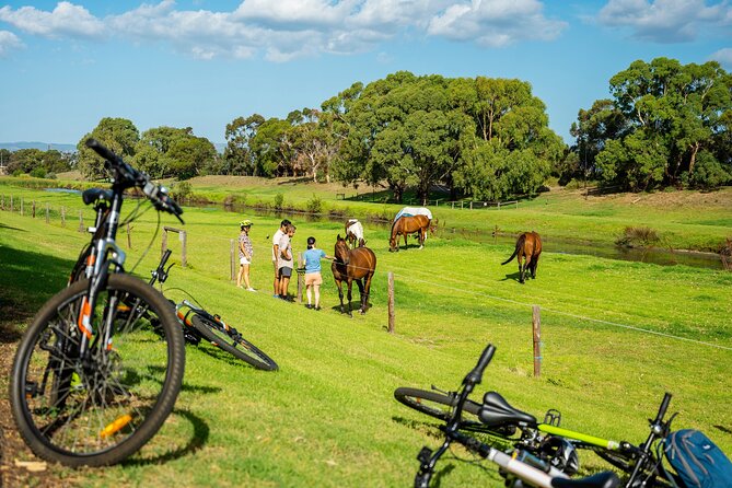 Adelaide City to Sea Bike Tour - Returning by the Glenelg tram