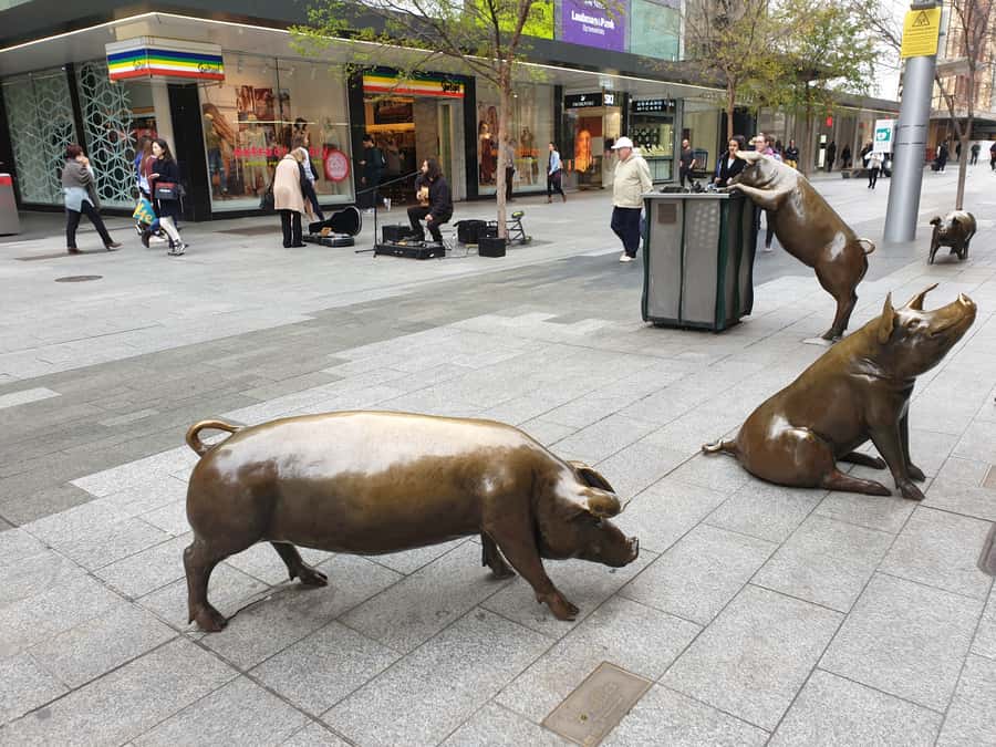 Adelaide: City Walking Tour with Guide - Who should take this Adelaide walking tour?