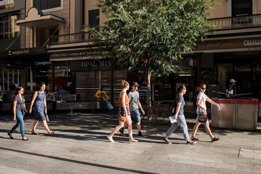 Adelaide: City Walking Tour with Guide - Adelaide Town Hall and local anecdotes