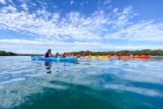 Adelaide Dolphin Sanctuary and Ships Graveyard Kayak Tour - Getting comfortable in a sit-in kayak