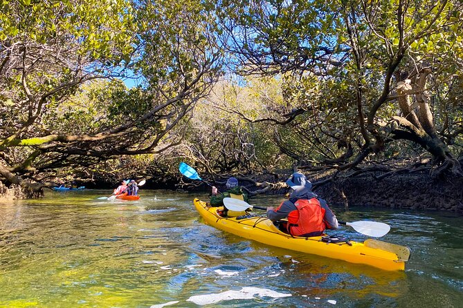 Adelaide Dolphin Sanctuary and Ships Graveyard Kayak Tour - Is three hours on the water good value at $55.94?