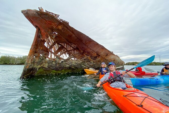 Adelaide Dolphin Sanctuary and Ships Graveyard Kayak Tour - How to prepare for a comfortable morning