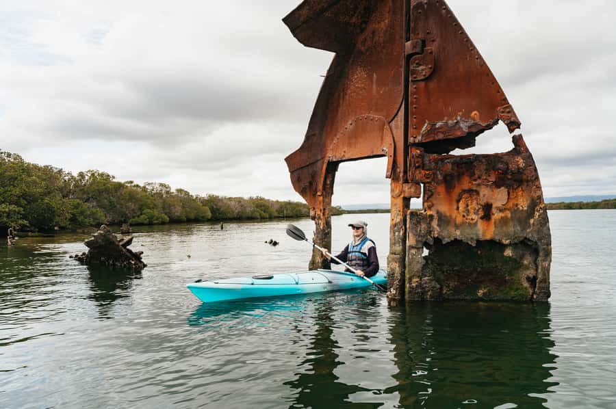 Adelaide: Dolphin Sanctuary Eco Kayaking Tour - Why Adelaide’s Dolphin Sanctuary feels different