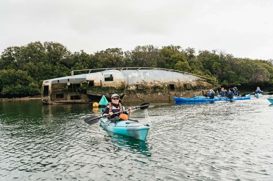 Adelaide: Dolphin Sanctuary Eco Kayaking Tour - The old shipwrecks and why you may miss them