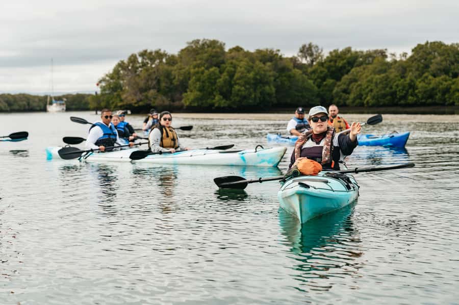 Adelaide: Dolphin Sanctuary Eco Kayaking Tour - How hard is three hours of kayaking?