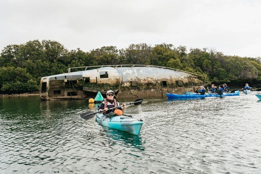 Adelaide: Dolphin Sanctuary Eco Kayaking Tour - Guides make the difference