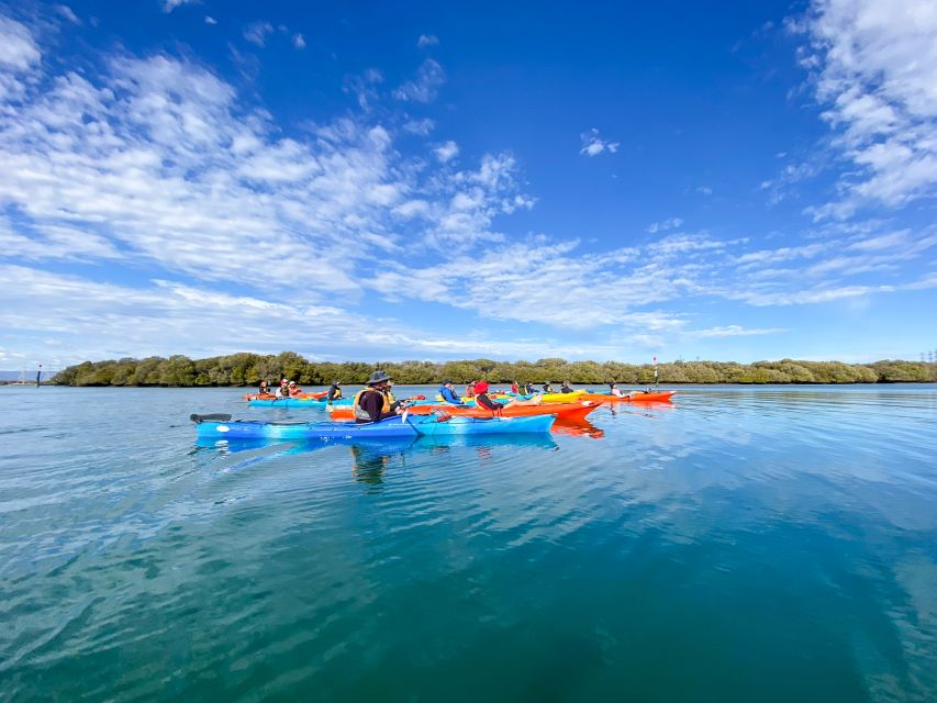 Adelaide: Dolphin Sanctuary Mangroves Kayak Tour - The guides shape the outing