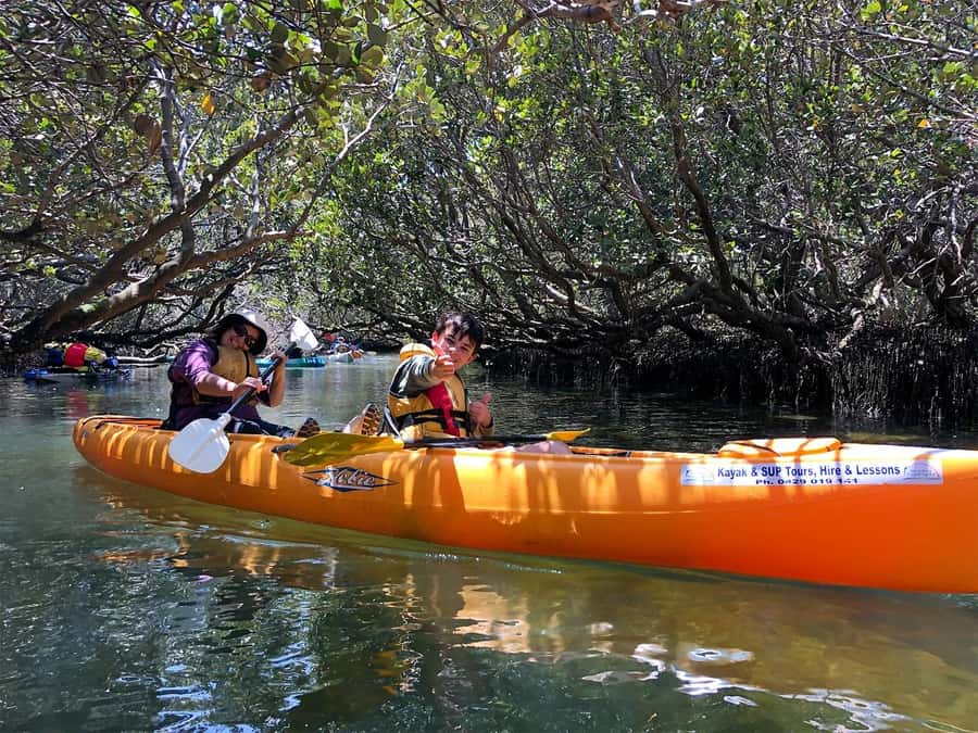 Adelaide: Dolphin Sanctuary Single or Double Kayak Rental - Setting out from Garden Island