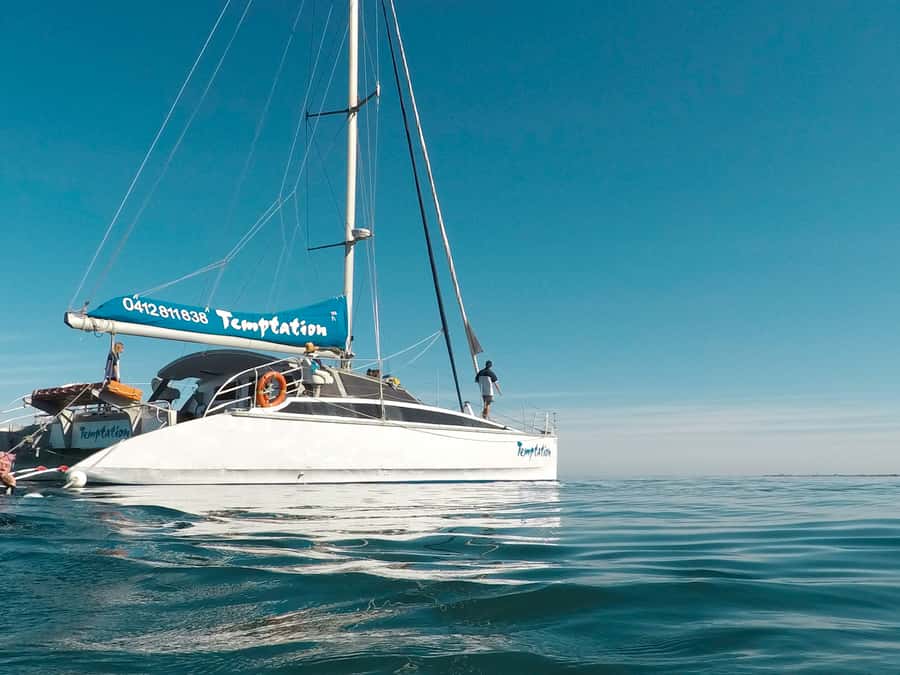 Adelaide: Glenelg Twilight Catamaran Cruise with Drink - Sunset, City Lights, and the Included Drink