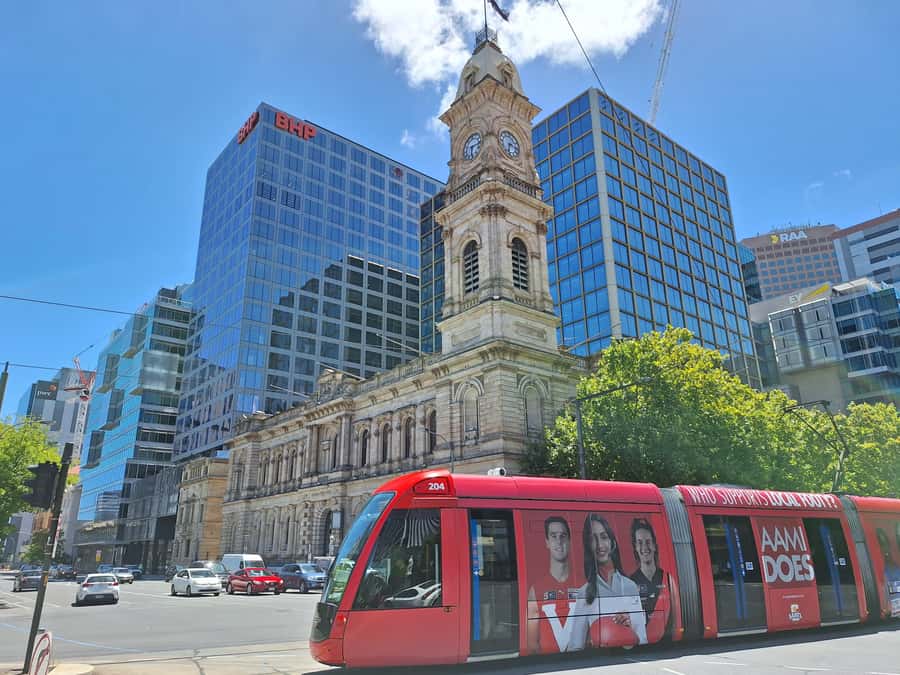 Adelaide: Guided Ultimate Walking Tour with Drink and Snack - Guides, group feel, and storytelling style