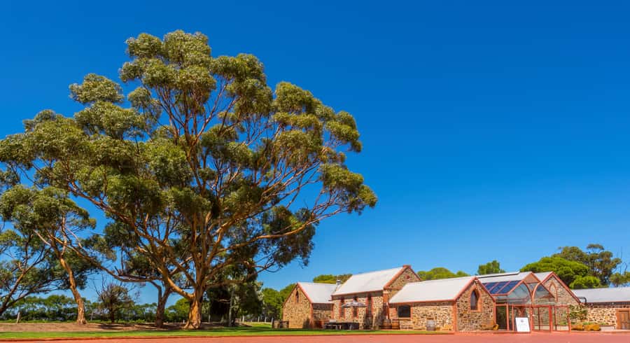 Adelaide: Half-day McLaren Vale & Glenelg Wine Tasting Tour - Key points to know before booking