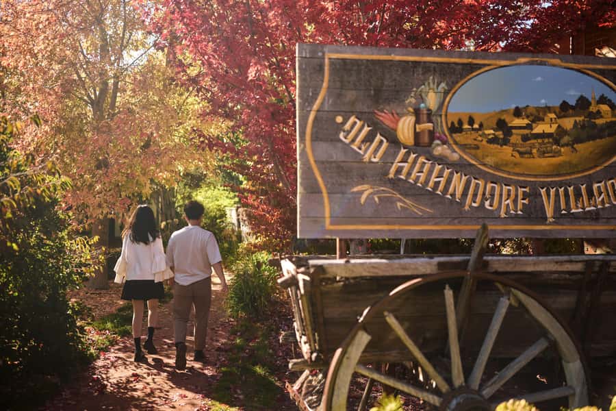 Adelaide: Highlights, Hahndorf & McLaren Vale Wine Tasting - Why this Adelaide day tour works so well