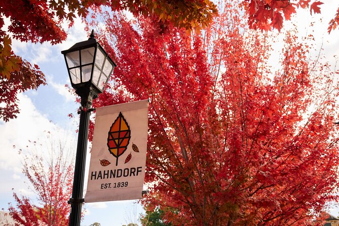 Adelaide Highlights, Hahndorf & McLaren Vale Wine Tasting and Sightseeing Tour - Haselgrove Wines keeps the second tasting relaxed