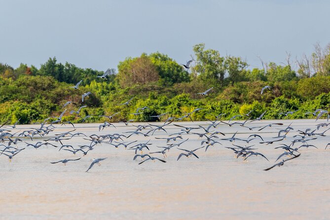 Adelaide River Cruises - Jumping Crocodile Experience - What the guides add to the hour