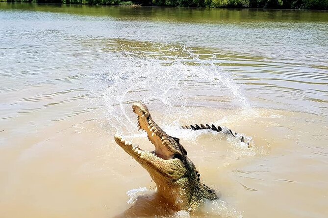 Adelaide River Cruises - Jumping Crocodile Experience - Who will enjoy this most