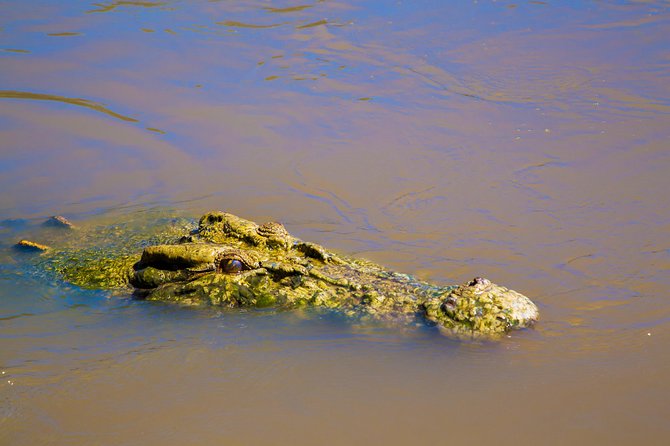 Adelaide River Jumping Croc Cruise - Window on the Wetlands and the Marrakai Plains