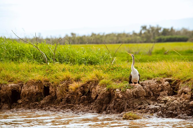 Adelaide River Jumping Croc Cruise - Fogg Dam and the return through the wetlands