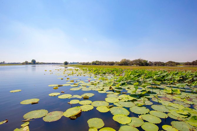 Adelaide River Jumping Croc Cruise - The coach ride from Darwin