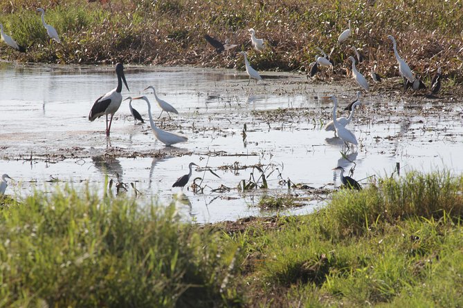 Adelaide River Jumping Croc Cruise - Cancellation and booking details