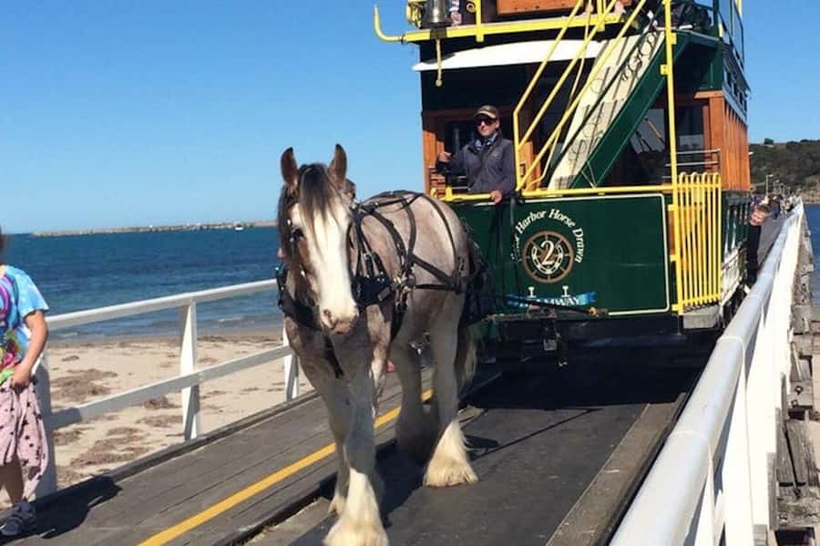 Adelaide: South Australia Guided Full-Day Highlights Tour - Key points at a glance