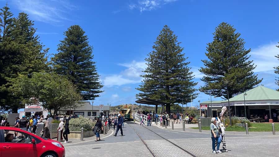 Adelaide: South Australia Guided Full-Day Highlights Tour - Walking to Granite Island